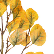 Vickerman FT228941 32