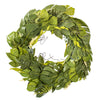 Vickerman FT230630 32" Artificial Green Mixed Jungle Foliage Wreath. Combination Of Leaves.