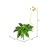 Vickerman FU190818 18