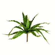 Vickerman FU191313 13