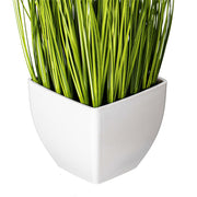 Vickerman FV190211 11.5
