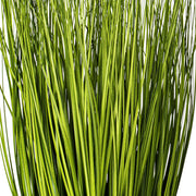 Vickerman FV190211 11.5