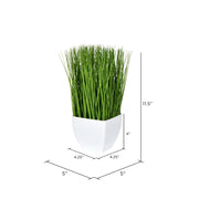 Vickerman FV190211 11.5