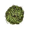 Vickerman FV192303 6"  Artificial Green Boston Fern Ball.