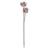 Vickerman FV192630 30" Artificial Rust Brown Echeveria Spray.