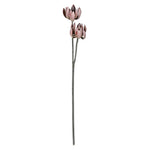 Vickerman FV192630 30" Artificial Rust Brown Echeveria Spray.