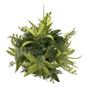 Vickerman FV195705 5" Artificial Mixed Variety Green Succulent Ball.
