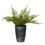 Vickerman FV196808 8.5" Artificial Green Potted Asparagus Fern.