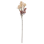 Vickerman FXT222325 25.5" Cream Artificial Primrose Flower Spray 3 Per Bag.