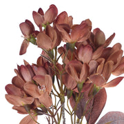 Vickerman FXT222327 25.5