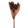 Vickerman FXT222920 20" Red Artificial Dried Fruit Bunch.