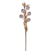 Vickerman FXT223118 18" Cream Artificial Dried Fruit Spray 3 Per Bag.