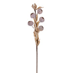 Vickerman FXT223118 18" Cream Artificial Dried Fruit Spray 3 Per Bag.