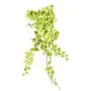Vickerman FZ190334 34" Artificial Light Green Ivy Hanging Bush.