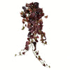 Vickerman FZ190534 34" Artificial Burgundy Grape Leaf Ivy Hanging Bush.