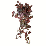 Vickerman FZ190539 39" Artificial Burgundy Grape Leaf Ivy Hanging Bush.