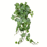 Vickerman FZ192439 39" Artificial Green & White Grape Leaf Ivy Hanging Bush.