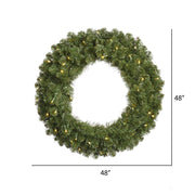 Vickerman G125648 48