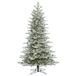 Vickerman G160836 3.5' Frosted Eastern Fraser Fir Artificial Christmas Tree Clear Dura-Lit Lights