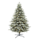 Vickerman G192446LED 4.5' X 37" Douglas Blue Fir Artificial Christmas Tree Warm White Dura-Lit LED Lights