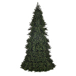 Vickerman G194114 14' X74" Artificial Slim Grand Teton Frame Tree Unlit