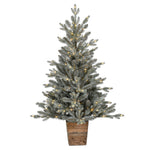 Vickerman G200541LED 4' X 33" Gooding Potted Pine Artificial Tree Warm White LED Mini Lights