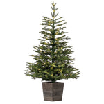 Vickerman G201641LED 4' X 31" Gibson Slim Potted Pine Artificial Christmas Tree Warm White Dura-Lit LED Lights
