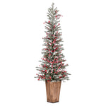 Vickerman G202255 5.5' X 24" Frosted Berry Potted Pine Artificial Christmas Tree Unlit
