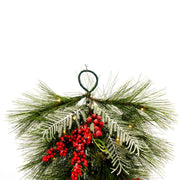 Vickerman G213008BOLED 30