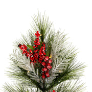 Vickerman G213008BOLED 30