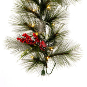 Vickerman G213015BOLED 6' X 16
