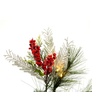 Vickerman G213015BOLED 6' X 16
