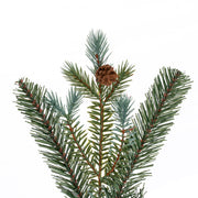 Vickerman G220414 6' X 14