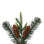 Vickerman G220614 6' X 14