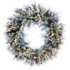 Vickerman G225731LED 30" Flocked Jackson Pine Artificial Pre-Lit Wreath With Warm White Lights And 165 Pvc Tips