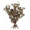 Vickerman H1ABN000 Natural Botanicals 14" X 1-3" Natural Ambernut Branch