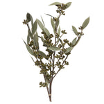 Vickerman H1AMB000 Natural Botanicals 15-17" X 8" Natural Amber Fruit Foliage Natural Sulphured