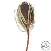 Vickerman H1BAJ800-3 12