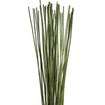 Vickerman H1BBB100 30-40" Basil Balero Bamboo 10 Oz.