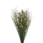 Vickerman H1BFS000 15-20" Natural Bell Female Short 5-6 Oz Bundle Preserved