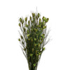 Vickerman H1BFS100 15-20" Basil Bell Female Short 5-6 Oz Bundle Preserved