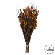 Vickerman H1BFS750-2 15-20