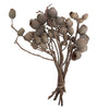 Vickerman H1BLG000 Natural Botanicals 11" X 4" Bellgum Branch 5-7 Bells 10 Stems Per Unit