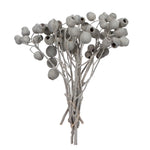 Vickerman H1BLG900 Natural Botanicals 11" X 4" Bellgum Branch 5-7 Bells Ivory Frosted 10 Stems Per Unit