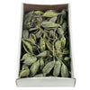 Vickerman H1BRA150 5-9" Brachy Pod Clusters Frosted Green 1.1 Lb Tray (Cpd-12) Dried