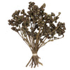 Vickerman H1CNC000 Natural Botanicals 11" X 2-4" Conical Gum Branch 20 Stems Per Unit
