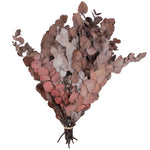 Vickerman H1EPO475-1 Natural Botanicals 18-20" X 8" Eucalyptus Populus Red 1 Lb Per Unit