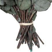 Vickerman H1ESP150-1 Natural Botanicals 18-20