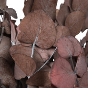 Vickerman H1ESP475-1 Natural Botanicals 18-20