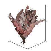 Vickerman H1ESP475-1 Natural Botanicals 18-20
